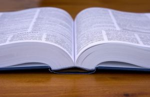 Dictionary open
