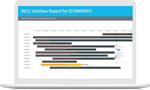 Screenshot of WCG Siteview Report